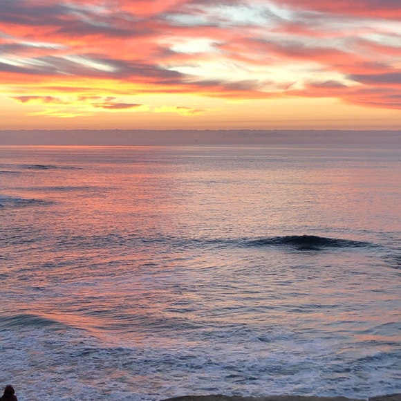 Meet your Posher, Kim - Picture 5 of 7